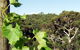 Adelaide Hills 