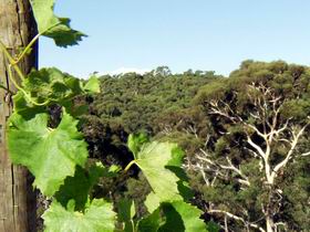 Adelaide Hills 