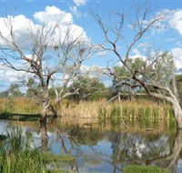 Lagoon Creek