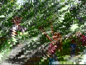 Forest Range ACT Accommodation Bookings