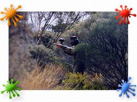 Paintball Skirmish SA - Accommodation Bookings 2