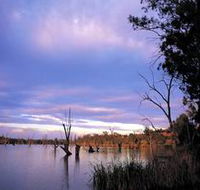 Loch Luna Game Reserve and Moorook Game Reserve - Accommodation Bookings