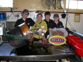 Melba's Chocolate And Confectionery Factory - Accommodation Bookings 1
