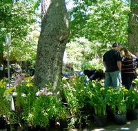 The Stirling Market - Accommodation Bookings