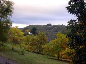Nirvana Organic Produce And Farm - Accommodation Bookings 2