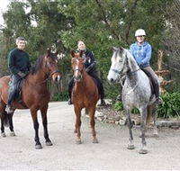 Academy of Dressage - Accommodation Bookings