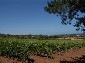 Grancari - Accommodation Bookings 0