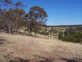 Onkaparinga River National Park - Accommodation Bookings 0