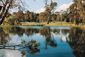 Echunga Golf Club Incorporated - Accommodation Bookings 1