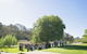 Howard Vineyard - thumb 1