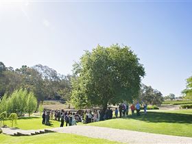 Howard Vineyard - Accommodation Bookings 1