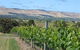 Possingham And Summers Cellar Door - thumb 3