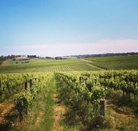Adelaide Winemakers - Accommodation Bookings