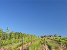 McLaren Vale III Associates - Accommodation Bookings 3