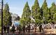 Macclesfield ANZAC Memorial Gardens - thumb 3