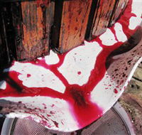 Cradle of Hills McLaren Vale Winery - Accommodation Bookings