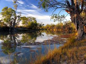 Murray River National Park - Accommodation Bookings 0