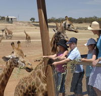 Monarto Open Range Zoo - Accommodation Bookings