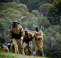 Paintball Sports - Accommodation Bookings