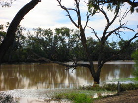 Allan Tannock Weir - Accommodation Bookings 3