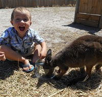 Animal Farm Goolwa - Accommodation Bookings