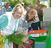 Victor Harbor Farmers Market - Accommodation Bookings