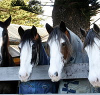 Victor Harbor Horse Drawn Tramway - Accommodation Bookings