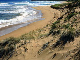  Accommodation Bookings