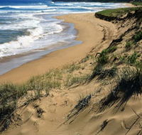 Newland Head Conservation Park - Accommodation Bookings