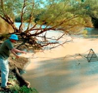 Charleville - Ward River Fishing Spot - Accommodation Bookings