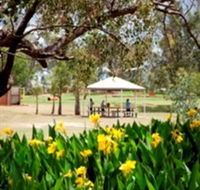 Charleville - Graham Andrews Parklands - Accommodation Bookings