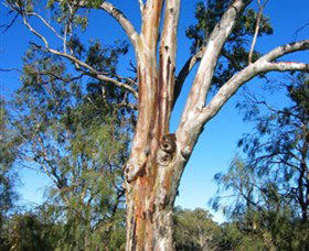 ODonnell Park At Curlwaa - Accommodation Bookings 2