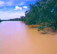 Warrego River - Accommodation Bookings
