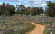 Grasslands Nature Trail - thumb 0