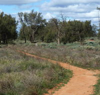 Grasslands Nature trail - Accommodation Bookings
