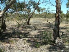 Tintinara SA Accommodation Bookings