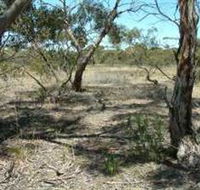 Tintinara Walking Trail - Accommodation Bookings