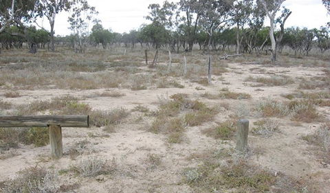 Culgoa Connellys Track - Accommodation Bookings 0