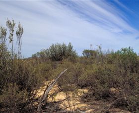 Wyperfeld National Park - Accommodation Bookings 0