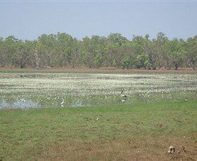 Leaning Tree Lagoon Nature Park - Accommodation Bookings 0
