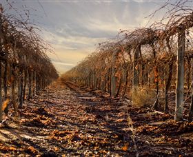 Andrew Peace Wines - Accommodation Bookings 2