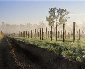 Andrew Peace Wines - Accommodation Bookings 5