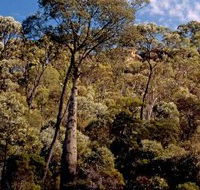 Ka Ka Mundi Carnarvon National Park - Accommodation Bookings