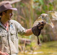 Territory Wildlife Park - Accommodation Bookings