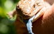 Territory Wildlife Park - thumb 5