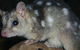 Territory Wildlife Park - thumb 6