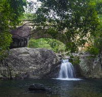 Paluma and Crystal Creek Rainforest - Accommodation Bookings