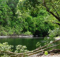 Broadwater Abergowrie State Forest - Accommodation Bookings