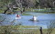 Marsh Meanders - thumb 2