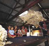 Shear Outback the Australian Shearers Hall of Fame - Accommodation Bookings